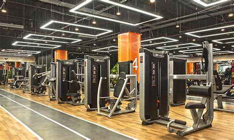 Workout Equipment | Gyms and Health Clubs | Junxia