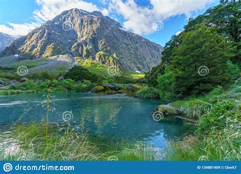 Turquoise River In The Mountains Fiordland New Zealand 2 Stock Image