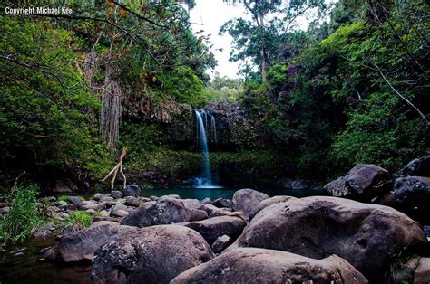 The amazon river basin rainforest contains a wider variety of plant and animal life than any other biome in the world. Tropical Rainforest: Youtube Tropical Rainforest Biome