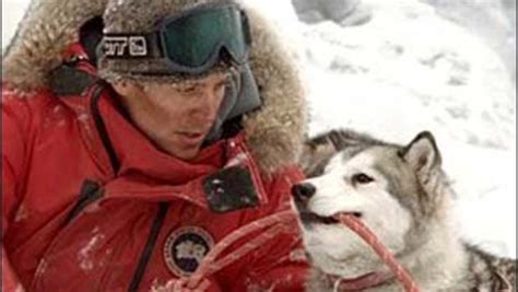 When a miami dentist inherits a team of sled dogs, he's got to learn the trade or lose his pack to a crusty mountain man. Sled-Dog Movie Mushes Into First Place - CBS News