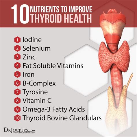 26 Best Vitamin And Nutritional Deficiencies With Thyroid Disease