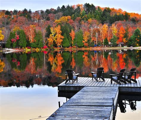 Wooden Dock With Chairs On Autumn Lake Tapestry For Sale By Elena Elisseeva