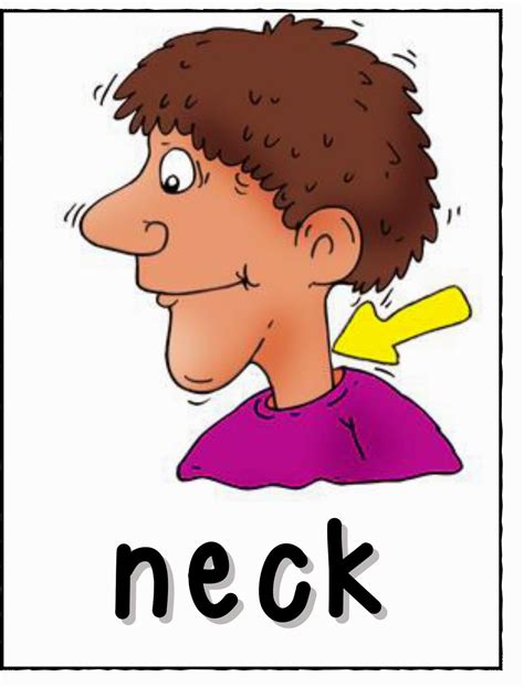 Involving both sides of the body unilateral: Funny Miss Valérie: Body parts