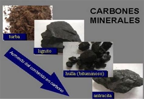 El Carbón Areaciencias
