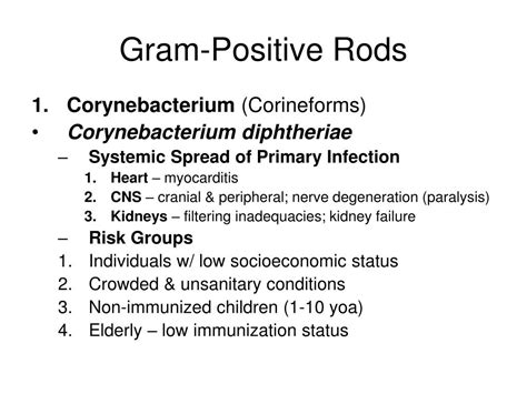 Ppt Chapter 10 Gram Positive Rods Powerpoint Presentation Free