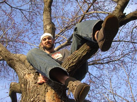 Climbing Trees Improves Cognitive Ability Gazette Review