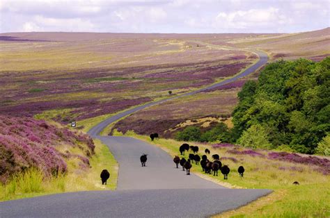 North York Moors National Park The Complete Guide