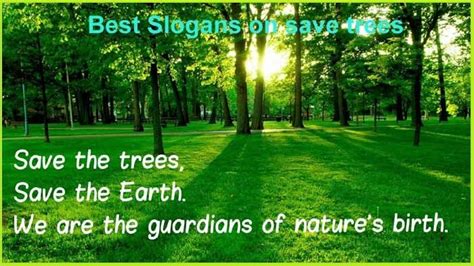 Famous Slogans On Save Trees Tech Inspiring Stories Famous Slogans