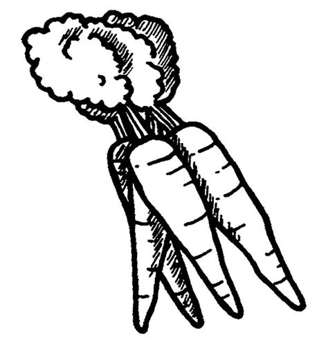Two are black and white and two are in color. Draw Carrot Coloring Pages | Best Place to Color