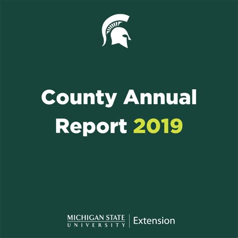 Lapeer County Annual Report 2019 Lapeer County