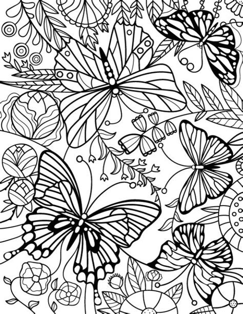 Butterfly Coloring Pages For Adults Drawinginsider