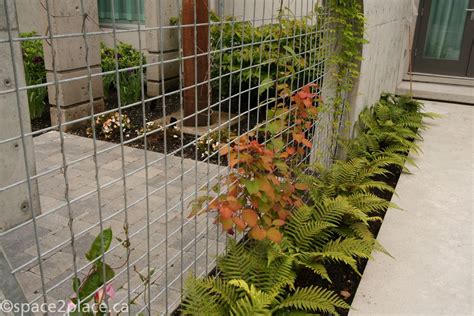 Give your plants a new place to grow up and over with these clever vine support ideas. welded wire mesh vine support | Residential Landscapes and ...