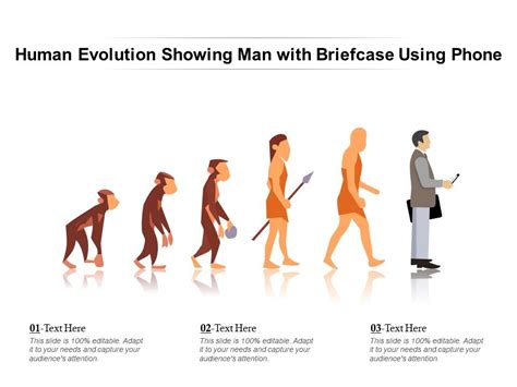 Evolution Diagram Chart Man All In One Photos