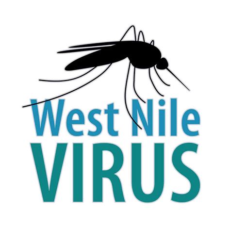 Mosquitoes With West Nile Virus Found In Westchester Remove Standing