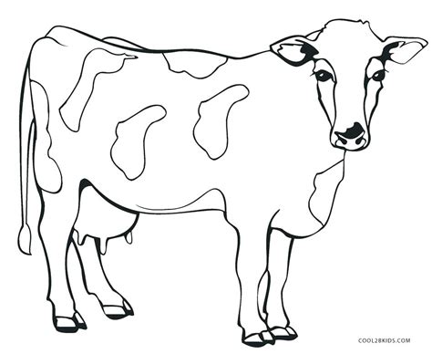 Cow Coloring Pages For Adults At Free