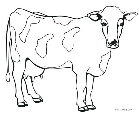 Cows give us milk, that is very tasty and full of vitamins. Cow Coloring Pages For Adults at GetColorings.com | Free ...