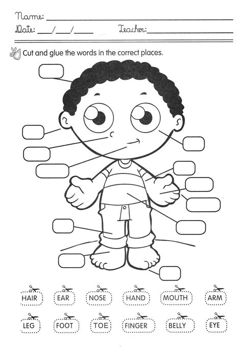 Atividade De Inglês 2 Ano Fundamental