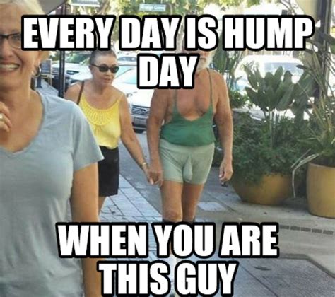 √ Hump Day Meme Funny