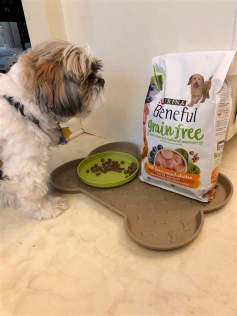 The best puppy food for a shih tzu puppy will meet his needs for protein and fat while also being balanced in terms of essential vitamins and minerals. beneful-shih-tzu-puppy-dog-food - momhomeguide.com