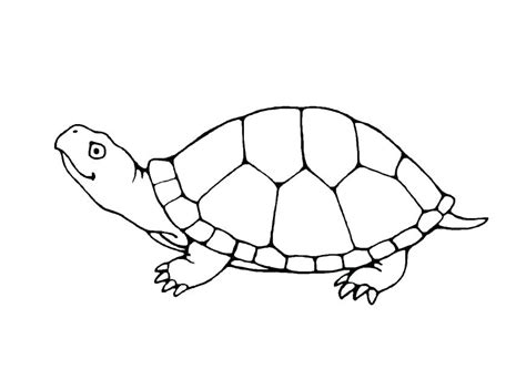 Download and print these printable ninja turtles coloring pages for free. Snapping Turtle Coloring Pages at GetColorings.com | Free ...