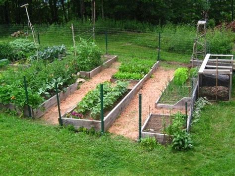 Elevated Vegetable Garden The Best Way To Grow A Small