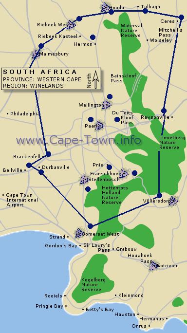 The Cape Town Wine Route Wonders South Africa Wine South African