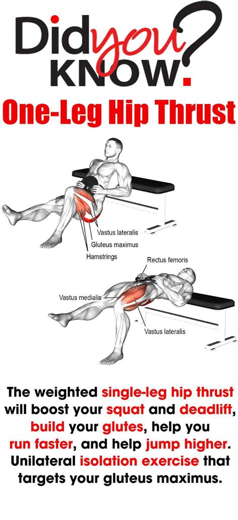 8 Powerful Muscle Building Gym Training Splits Glutes