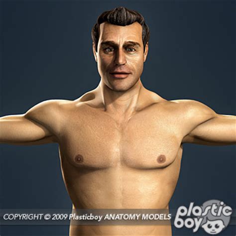 Male torso anatomy 3d model. Anatomy 3D Models by Guy van der Walt at Coroflot.com