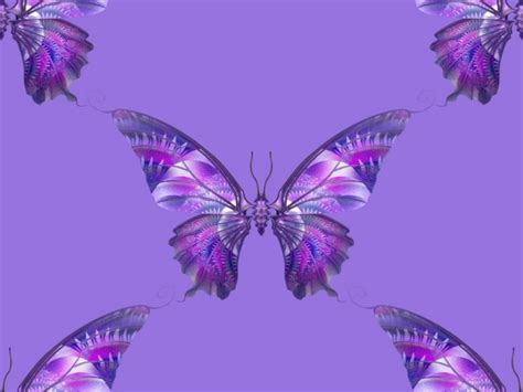 47 Pink And Purple Butterfly Wallpaper Wallpapersafari