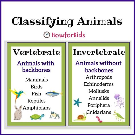 Classifying Animals Vertebrates And Invertebrates Vertebrates