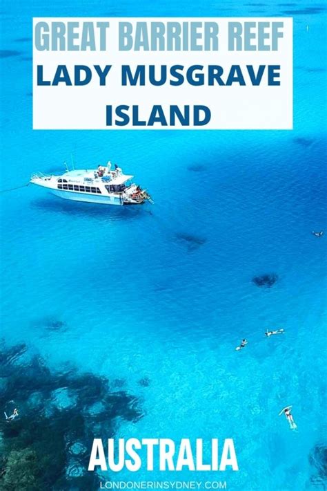 Amazing Southern Great Barrier Reef Day Trip To Lady Musgrave Island