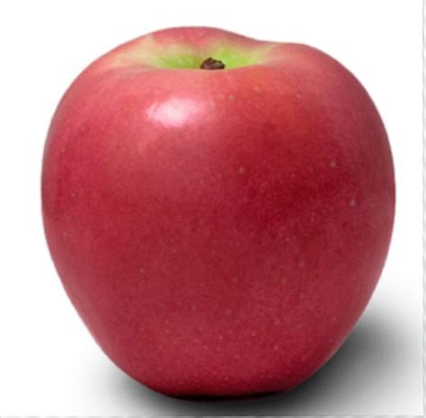 Nz Queen Loose Apples Buy Fruit And Vegetables Shop Online Magic Fresh