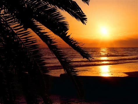 Sunset Palm Beach Florida Wallpapers Sunset Palm Beach