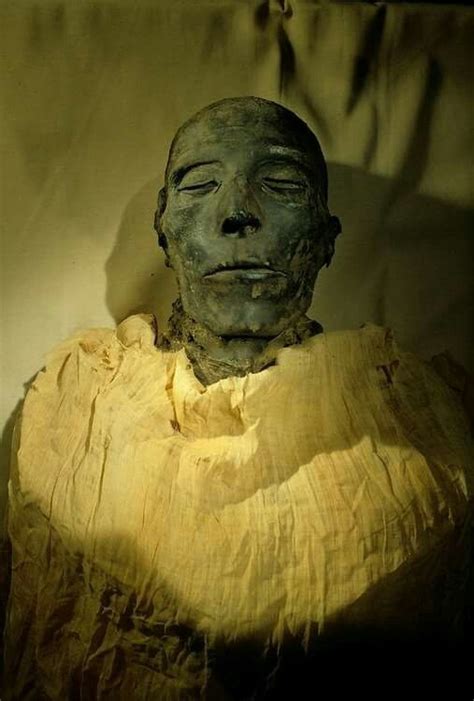 revealing the mummy of ramesses iv a fascinating journey into ancient egypt s royal legacy