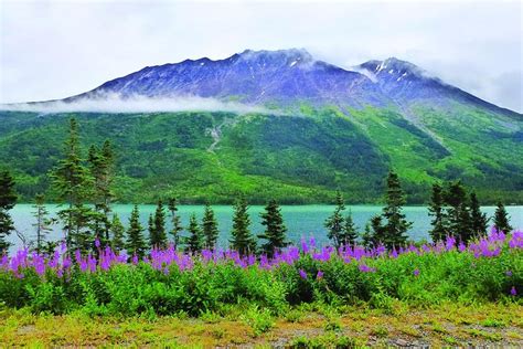 2023 Yukon Sightseeing Adventure By Hummer