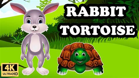 Rabbit And Tortoise Story In English Moral Stories For Kids Bedtime