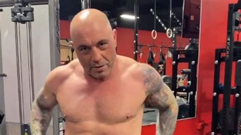 Ufc News Joe Rogan Weight Loss Fat Shamed Carnivore Diet Instagram