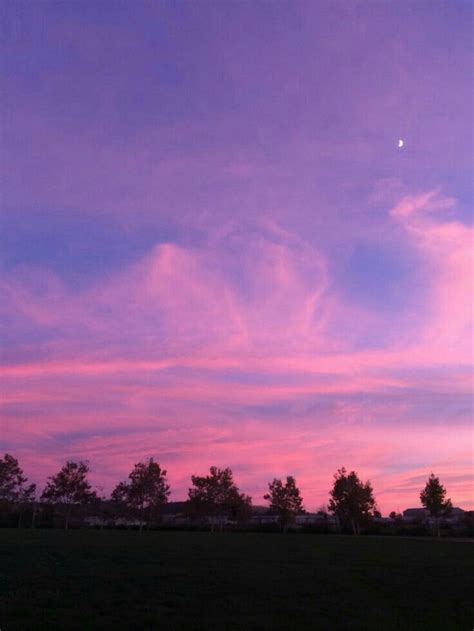 Maybe you would like to learn more about one of these? Pinterest: @xonorolemodelz | Lilac sky, Sky aesthetic ...