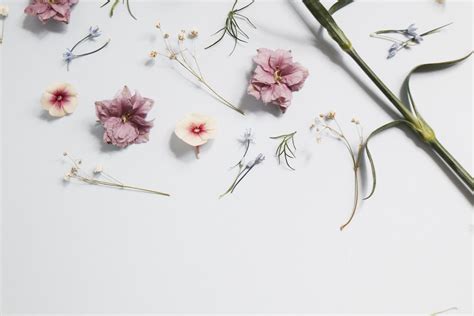 Floral Guru Sur Instagram Le Top Five Des Fleurs Dauteur Lifetiles