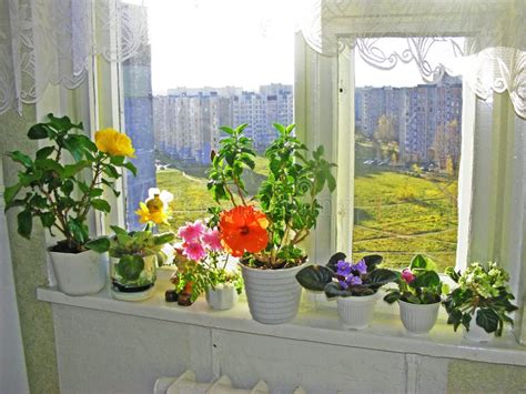 Window Sill With Flowers Stock Photo Image Of Decoration 112704724