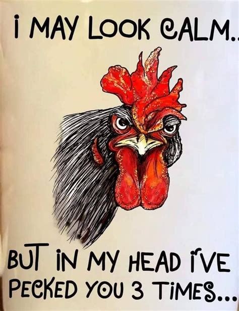 Rooster Drawing Funny Cartoon Quotes Chicken Humor Rooster Art