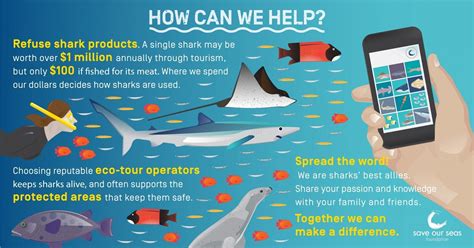 International Whale Shark Day 2020 Laptrinhx News