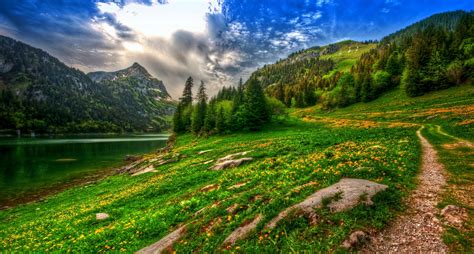 Nature Landscape Lake Mountains Forest Wildflowers Spring Pine