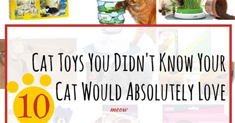 10 Cat Toys You Didn T Know Your Cat Would Absolutely Love Ineed A Playdate