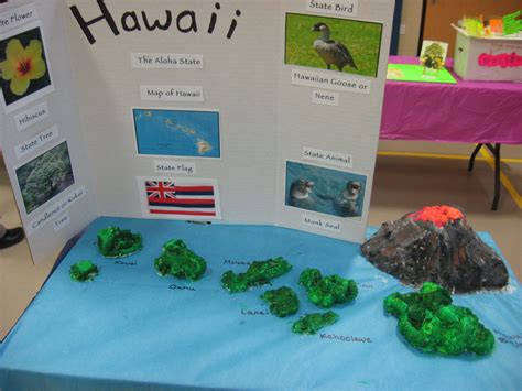 Hawaii 2015 States Project School Projects Projects For Kids