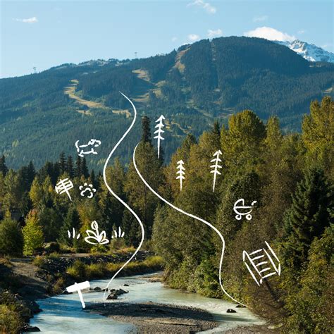 9 Whistler Walks And Hikes To Try This Summer The Whistler Insider