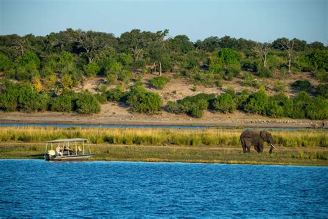 Chobe National Park Botswana Expert Africa
