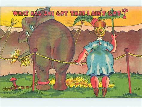 Linen Comic Woman With A BIG Butt Compared To Elephant Butt Hl3335