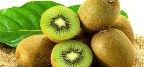 Lovepik memberi anda kiwi buah gambar unduh gratis, format file grafik untuk penggunaan unduh gratis berkualitas tinggi kiwi buah png file grafik terbaru, angka lovepik grafis ini adalah 401027974. 7 Manfaat Buah Kiwi untuk Kesehatan dan Kecantikan