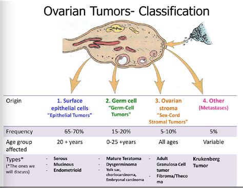 Pathology Of Ovarian Tumors Quick Review Epomedicine My Xxx Hot Girl